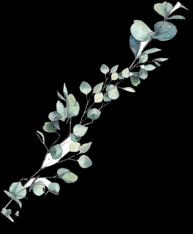 image-top-right
